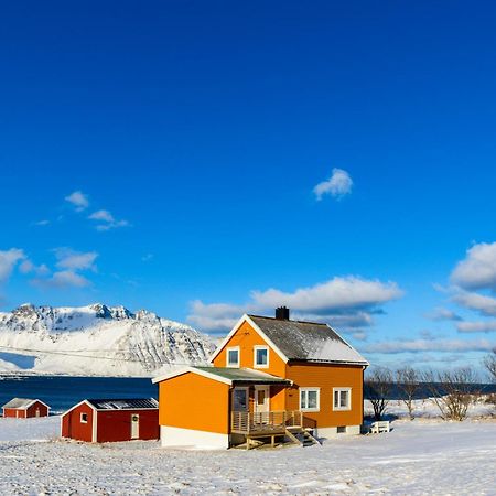 Lillevik Lofoten Gimsoy ภายนอก รูปภาพ
